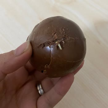 Şok Marketten Aldığım Ozmo Sürpriz Yumurtadan Canlı Kurt Çıktı!