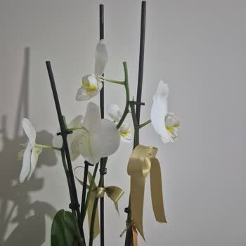 Evlilik Yıl Dönümünde Kusurlu Ve Farklı Çiçek Teslimatı Mağduriyeti