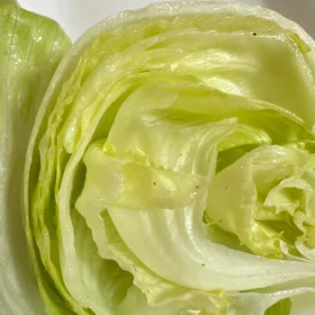 Arsamiea Çiğköfte Siparişimde Çıkan Böcekler Ve Hijyen Sorunu Mağduriyet Yaşattı