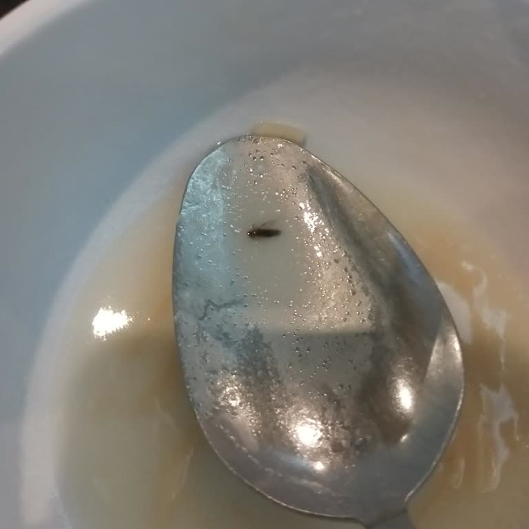 STR Kula Dinlenme Tesisleri Hijyen Açısından Genel Olarak Ciddi Sorunlar Var