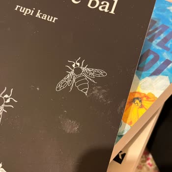 Hasarlı Ve Özensiz Paketleme Nedeniyle Mağduriyet Yaşadım