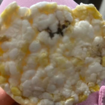 Gong Ürününde Yabancı Madde Şoku: Gıda Güvenliği Endişesi