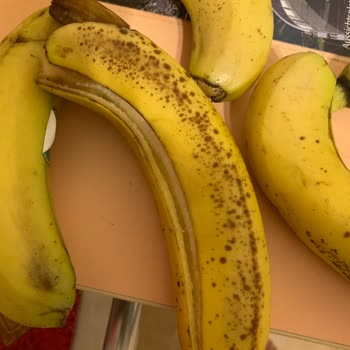 Hijyenik Olmayan Muzlar Ve İlgisiz Müşteri Hizmeti