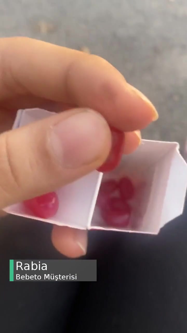 Bebeto Ölü Sinek Yapışmış Şekere! videonun kapak resmi
