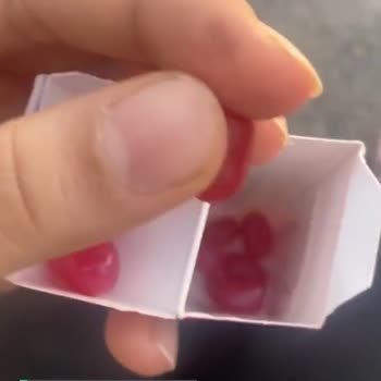 Bebeto Ölü Sinek Yapışmış Şekere!