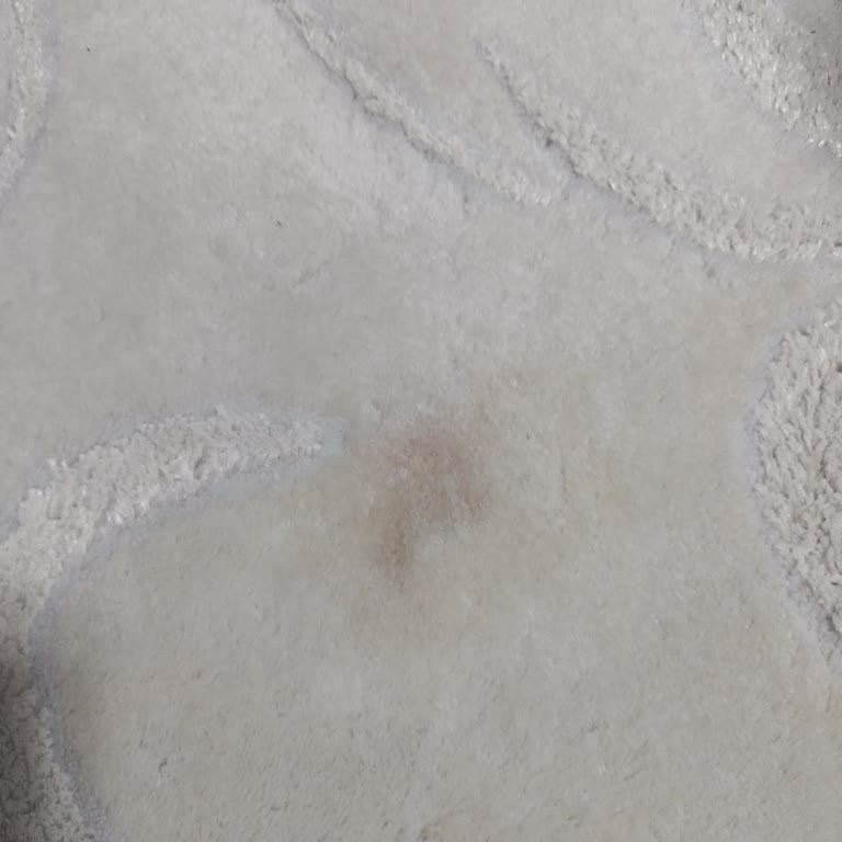 Leke Çıkarıcı Halımda Kalıcı İz Bıraktı, Çözüm Bekliyorum