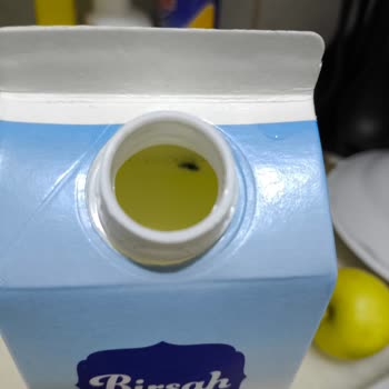 Aldığımız Pastörize Sütte Yabancı Cisim Şoku