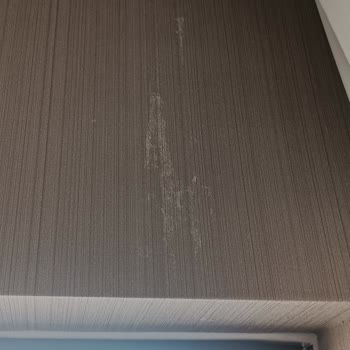 Yeni Teslim Edilen Konutta Duvar Sorunları Ve İlgisizlik