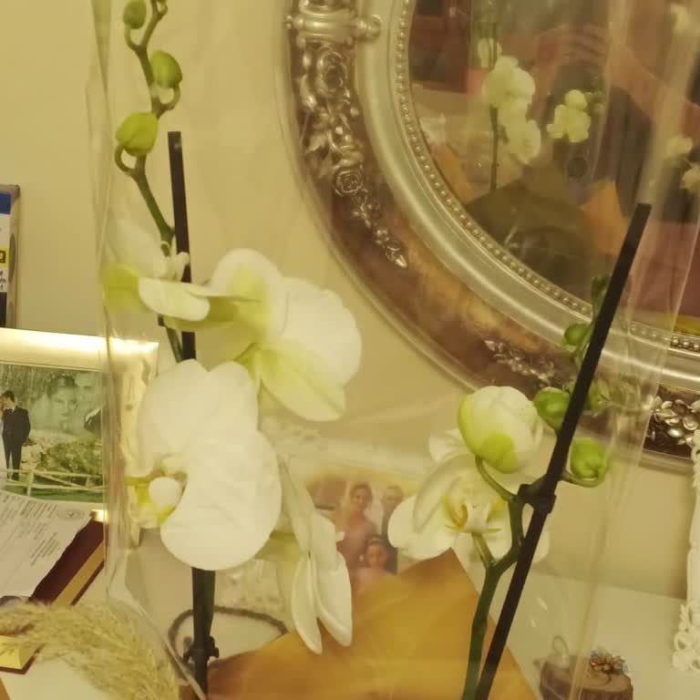 Görseldekiyle Alakasız Ve Eksik Çiçek, İade Veya Yeniden Gönderim Talebi