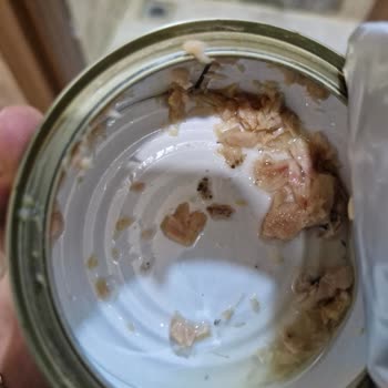 Dardanel Ton Balığı Konservesinde Yabancı Madde Şoku Ve Güven Kaybı