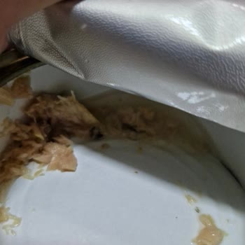 Dardanel Ton Balığı Konservesinde Yabancı Madde Şoku Ve Güven Kaybı