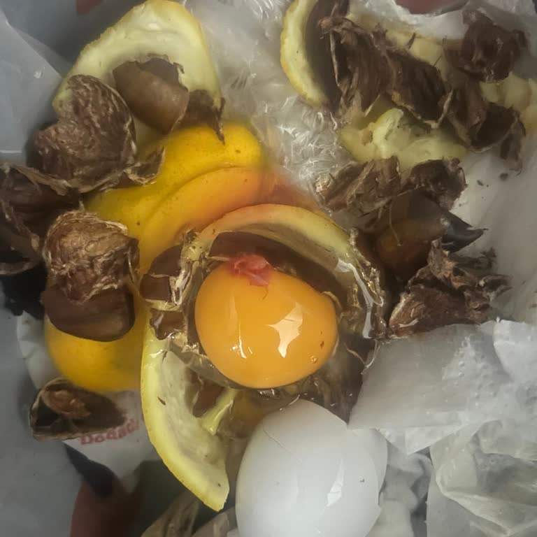 Aldığım Yumurtaların İçinden Kan Çıkması Gıda Güvenliğini Tehdit Ediyor