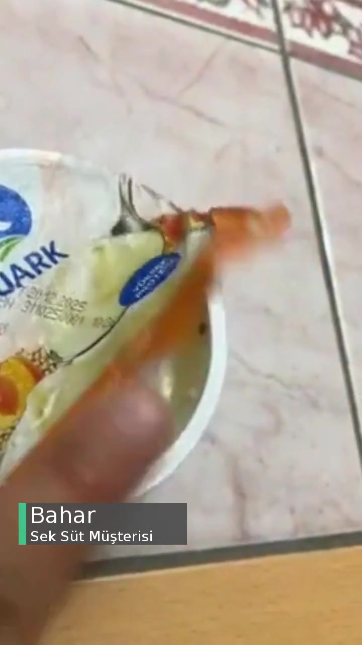 Sek Küflü Meyveli Yoğurt videonun kapak resmi