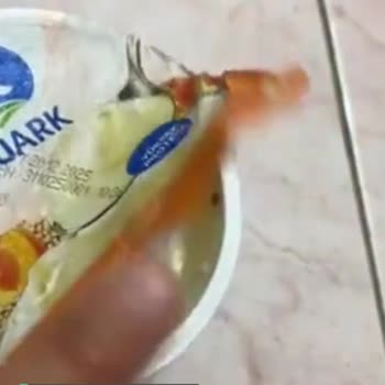 Sek Küflü Meyveli Yoğurt