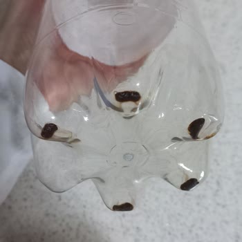 Çaykur Didi Soğuk Çay Şişesinde Hijyen Endişesi Yaratan Tortu