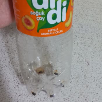 Çaykur Didi Soğuk Çay Şişesinde Hijyen Endişesi Yaratan Tortu