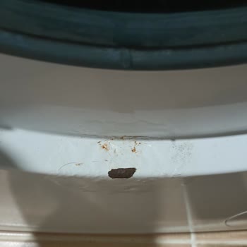 Bosch Çamaşır Makinesinde Uzun Süredir Devam Eden Paslanma Problemi Ve Hayal Kırıklığı