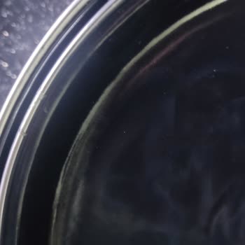 Hasarlı Ürün Ve İlgisiz Satıcı Nedeniyle Mağduriyet Yaşıyorum