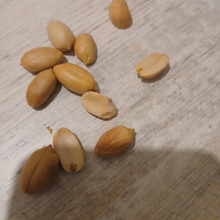 Tadım Yer Fıstığı Ve Kajuda Kötü Tat Ve Tazelik Şüphesi Yaşadım