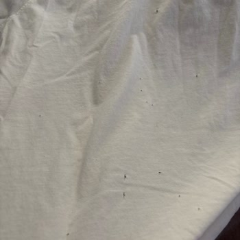 Çamaşır Makinesi Giysilerimi Deliyor Ve Gürültülü Çalışıyor, Sorun Giderilmiyor