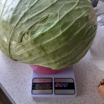 Eksik Gramajlı Ürünler Teslim Edildi, Müşteri Hizmetlerinden Dönüş Alamadım