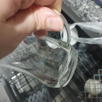 Vestel Bulaşık Makinesi Bardakları Temiz Yıkamıyor, Garanti Kapsamında Çözüm İstiyorum