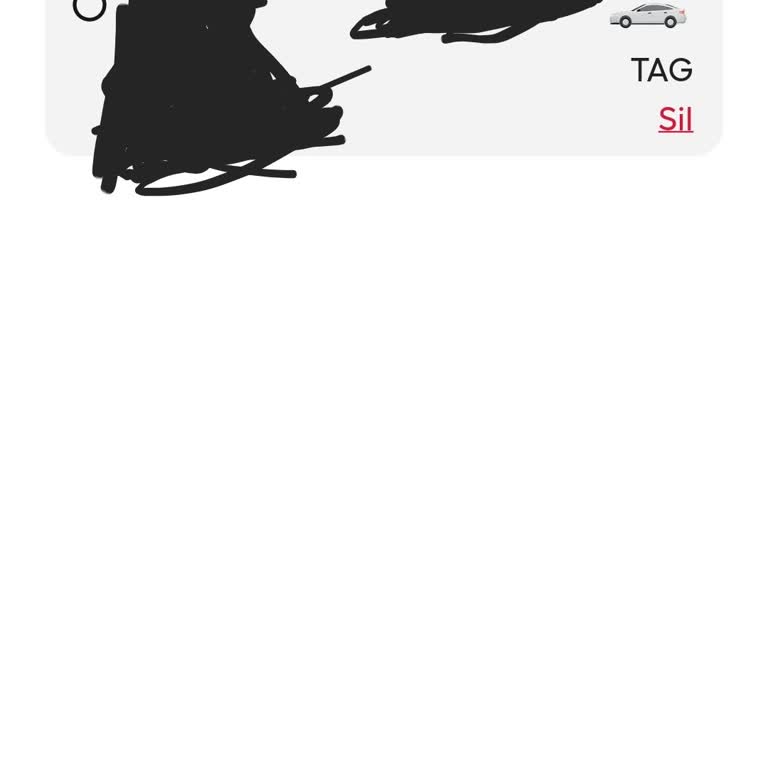 Martı Tag Sürücü Başvurusunda Onay Gecikmesi Ve Yetersiz Destek