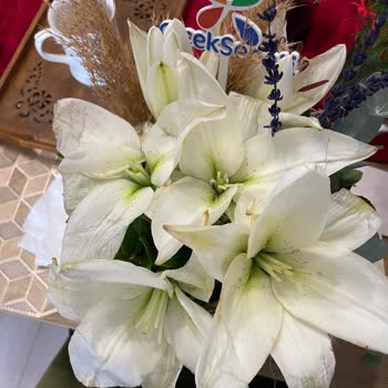 Çiçek Sepeti Siparişim Ölü Çiçek Ve İlgisiz Müşteri Hizmetiyle Hayal Kırıklığına Uğrattı