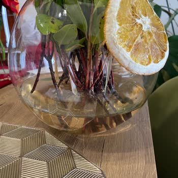 Çiçek Sepeti Siparişim Ölü Çiçek Ve İlgisiz Müşteri Hizmetiyle Hayal Kırıklığına Uğrattı