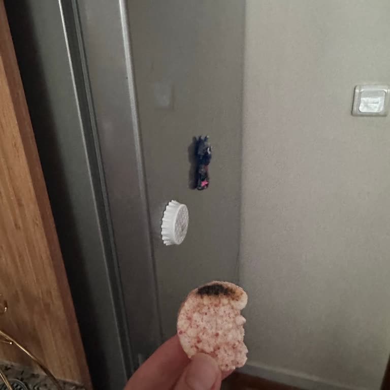 Yanık Pirinç Patlağı Satışı Ve İade Talebi