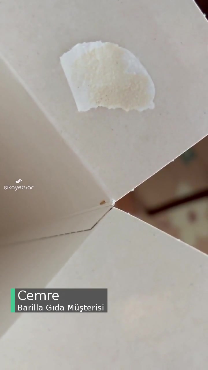 Barilla Makarnadan Kurt Çıktı! videonun kapak resmi