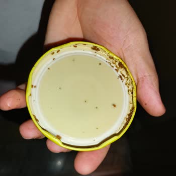 Aldığım Garnitür Kavanozunda Kurt Çıkması Ve Gıda Güvenliği Endişesi