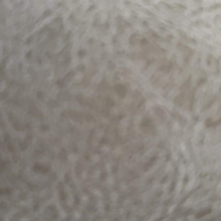 Kuru Yemiş Tadımına İzin Verilmemesi Alışveriş Deneyimimi Olumsuz Etkiledi