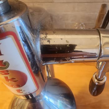 Maskot Meyve Sıkacağında Tekrarlayan Kaplama Sorunu Ve Sağlık Endişesi