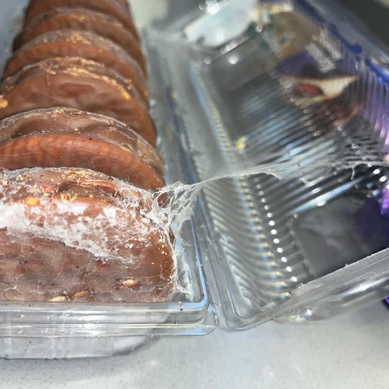 Halley İçinde Kurt Ve Örümcek Ağı İle Karşılaştım Güvenim Sarsıldı