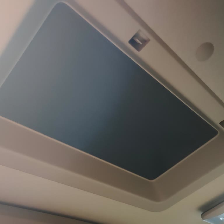 Tavan Havalandırma Tasarım Hatası Sebebiyle Araçta Haşere Sorunu Ve Kullanım Zorluğu