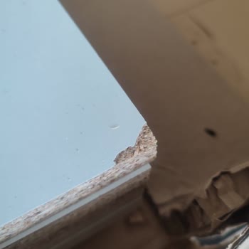 Olumsuz Yorumum Neden Yayımlanmıyor Kalite Sorununu Kim Görecek