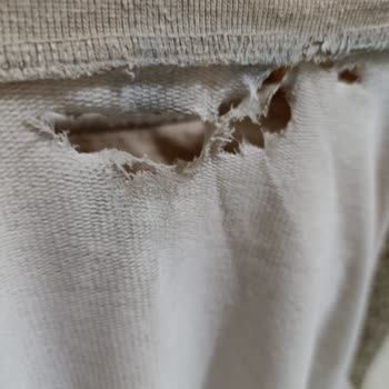 LG F4T2VYMEW Washing Machine Refund Not Paid - Return Delayed For Weeks