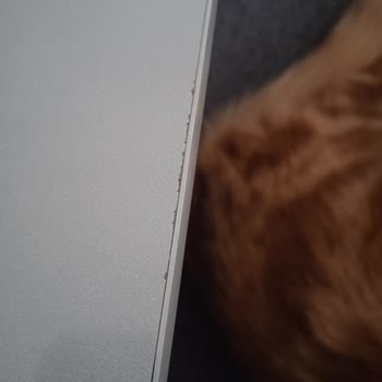 Sürekli Sorunlu Ürün Ve Çözülmeyen İade Talebi