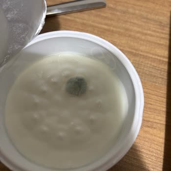 Sek Süt Son Kullanım Tarihi Geçmemiş Üründe Küf ve Bozulma Şoku