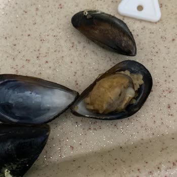 Hijyen Sorunu Ve Kalitesiz Hizmet Nedeniyle Hayal Kırıklığı