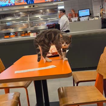 Popeyes Akçay Şubesinde Ciddi Hijyen Sorunu Ve Denetim Talebi