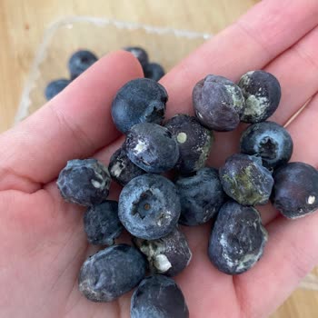 Migros'tan Alınan Küflü Yaban Mersini Ve Gıda Güvenliği Endişesi