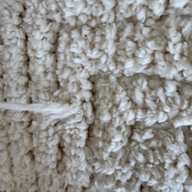 Aldığım Halının Kısa Sürede Bozulması Ve Çözüm Sunulmaması