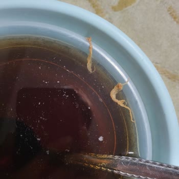 Didi Çaykur Soğuk Çayda Şeffaf Ve Jöle Kıvamında Yabancı Madde Şoku