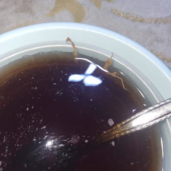 Didi Çaykur Soğuk Çayda Şeffaf Ve Jöle Kıvamında Yabancı Madde Şoku