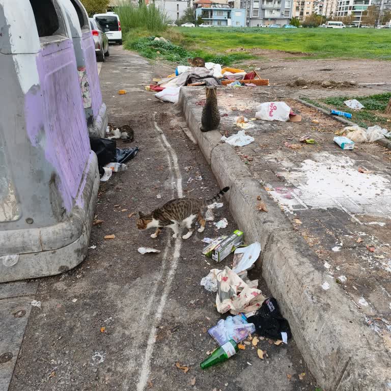 Çocuk Parkı Çevresinde Artan Çöp Ve Hijyen Sorunu İçin Acil Önlem Talebi