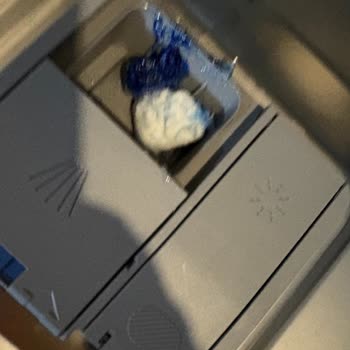 My Fhinis Quantum Ball Didn’t Dissolve in the Dishwasher
