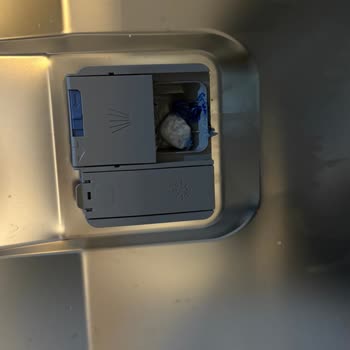 My Fhinis Quantum Ball Didn’t Dissolve in the Dishwasher