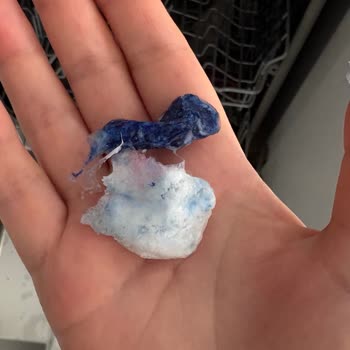 My Fhinis Quantum Ball Didn’t Dissolve in the Dishwasher